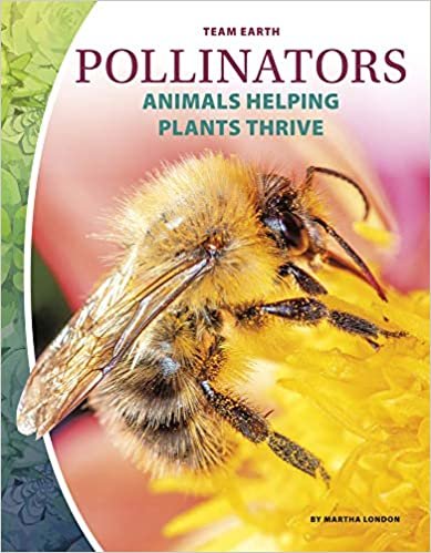 Team Earth: Pollinators