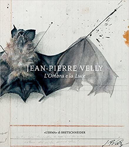 okumak Jean-Pierre Velly: L&#39;Ombra E La Luce (Cataloghi Mostre)