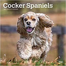 okumak Cocker Spaniels - Cockerspaniels 2021 - 16-Monatskalender mit freier DogDays-App: Original BrownTrout-Kalender [Mehrsprachig] [Kalender] (Wall-Kalender)