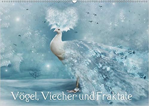 okumak Vögel, Viecher und Fraktale (Wandkalender 2021 DIN A2 quer): Fraktale Fotokunst mit Tieren (Monatskalender, 14 Seiten )