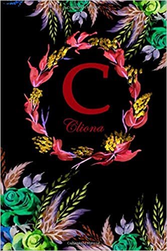 okumak C: Cliona: Cliona Monogrammed Personalised Custom Name Daily Planner / Organiser / To Do List - 6x9 - Letter C Monogram - Black Floral Water Colour Theme