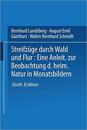 okumak Streifzuge Durch Wald Und Flur: Eine Anleitung Zur Beobachtung Der Heimischen Natur in Monatsbildern