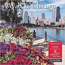 okumak A Walk in Chicago 2021 Calendar