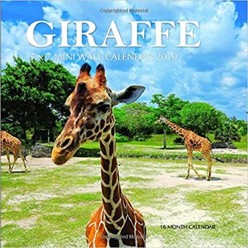 okumak Giraffe 7 x 7 Mini Wall Calendar 2019: 16 Month Calendar