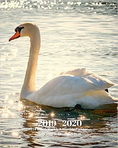 okumak 2019 - 2020 | 18 Month Weekly &amp; Monthly Planner July 2019 to December 2020: White Swan Bird Animal Nature Vol 36 Monthly Calendar with U.S./UK/ ... Holidays– Calendar in Review/Notes 8 x 10 in.