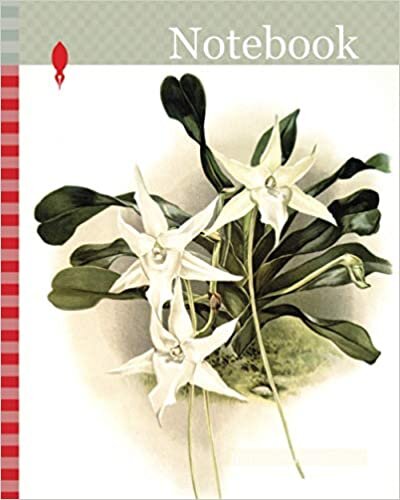 okumak Notebook: Orchid, Aeranthus sesquipedalis, Sander, F. (Frederick), 1847-1920, Mansell, Joseph, Lithographer, Moon, H. G