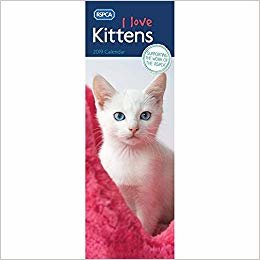 okumak Kittens, I Love, RSPCA S 2019