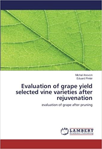 okumak Evaluation of grape yield selected vine varieties after rejuvenation: evaluation of grape after pruning