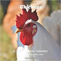 okumak Chickens 8.5 X 8.5 Calendar January 2020 -December 2020: Monthly Calendar with U.S./UK/ Canadian/Christian/Jewish/Muslim Holidays-Bird Farm Animals Nature