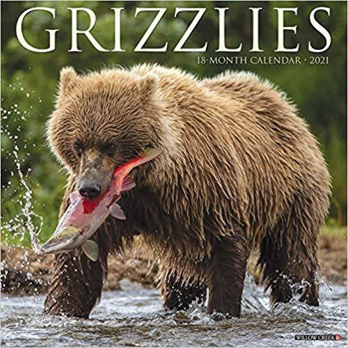 okumak Grizzlies 2021 Calendar