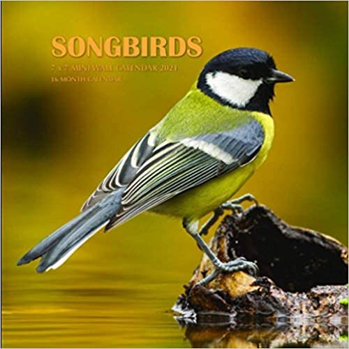 okumak Songbirds 7 x 7 Mini Wall Calendar 2021: 16 Month Calendar