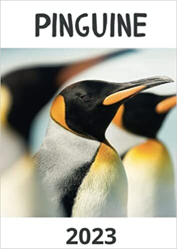 Pinguine 2023: Kalender / Broschürenkalender / Tischkalender für das Jahr 23 - das perfekte Geschenk für Freunde, Kollegen, zu Weihnachten und Geburtstag