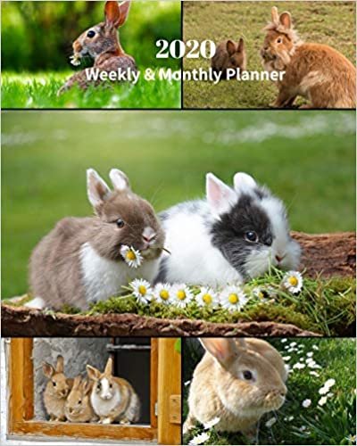 okumak 2020 Weekly and Monthly Planner: Rabbits Collage - Monthly Calendar with U.S./UK/ Canadian/Christian/Jewish/Muslim Holidays– Calendar in Review/Notes 8 x 10 in.- Bunny Rabbit Animals