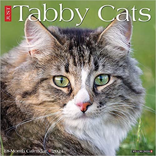 okumak Tabby Cats 2021 Calendar