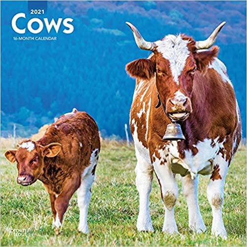 okumak Cows - Kühe 2021 - 16-Monatskalender: Original BrownTrout-Kalender [Mehrsprachig] [Kalender] (Wall-Kalender)