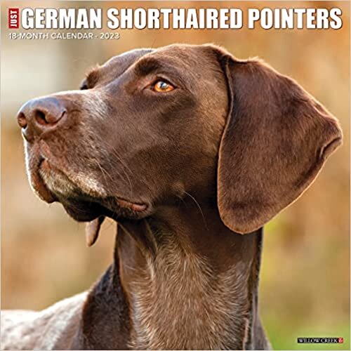 Just German Shorthaired Pointers 2023 Wall Calendar