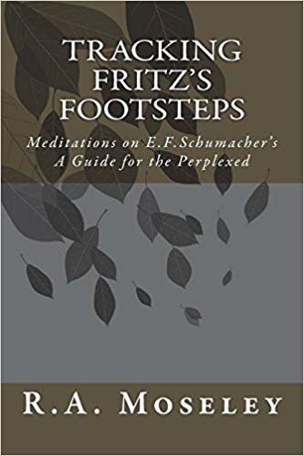 okumak Tracking Fritzs Footsteps: Meditations on E.F. Schumachers A Guide for the Perplexed