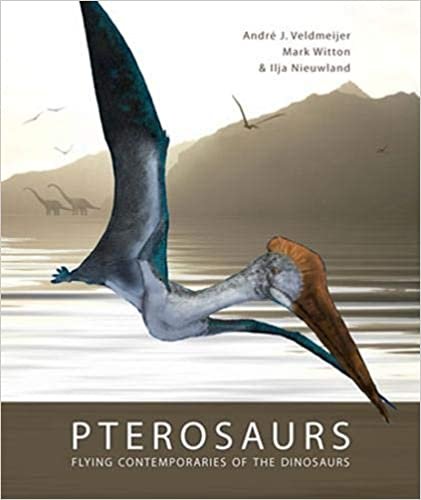 okumak Veldmeijer, A: Pterosaurs