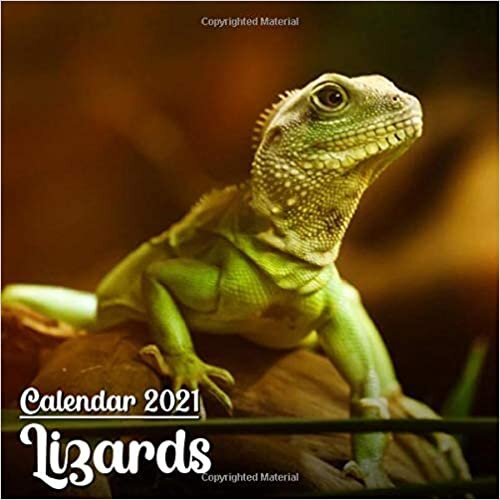 okumak Calendar 2021 Lizards: Cute Lizards Photos Monthly Mini Calendar | Small Size