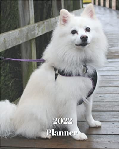 okumak 2022 Planner: American Eskimo Dog-12 Month Planner January 2022 to December 2022 Monthly Calendar with U.S./UK/ Canadian/Christian/Jewish/Muslim ... in Review/Notes 8 x 10 in.- Dog Breed Pets