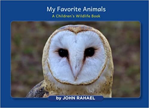 My Favorite Animals: A Children's Wildlife Story