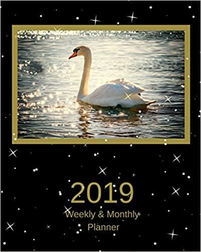 okumak 2019 Weekly and Monthly Planner: White Swan Daily Organizer -To Do -Calendar in Review/Monthly Calendar with U.S. Holidays–Notes Volume 43