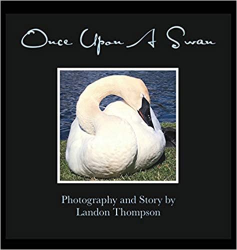 okumak Once Upon A Swan