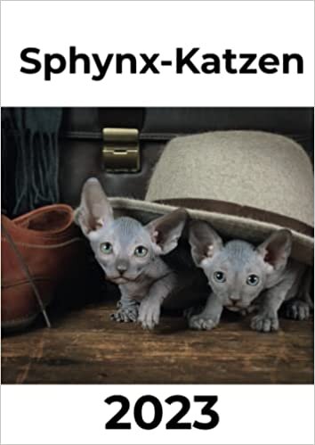 Sphynx-Katzen 2023: Kalender / Broschürenkalender / Tischkalender für das Jahr 23 - das perfekte Geschenk für Freunde, Kollegen, zu Weihnachten und Geburtstag