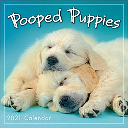 okumak Pooped Puppies 2021 Calendar