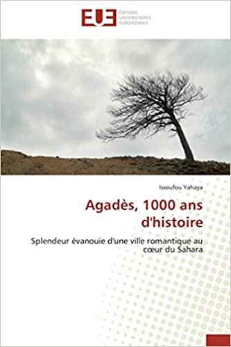 okumak Agadès, 1000 ans d&#39;histoire: Splendeur évanouie d&#39;une ville romantique au cœur du Sahara (Omn.Univ.Europ.)