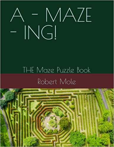 A - Maze - Ing!: THE Maze Puzzle Book