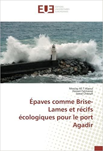 okumak Épaves comme Brise-Lames et récifs écologiques pour le port Agadir (OMN.UNIV.EUROP.)