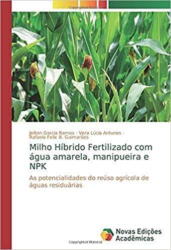okumak Milho Híbrido Fertilizado com água amarela, manipueira e NPK: As potencialidades do reúso agrícola de águas residuárias