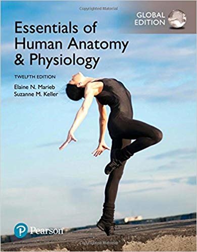 okumak Essentials of Human Anatomy &amp; Physiology, Global Edition