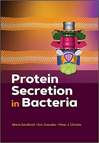 okumak Protein Secretion in Bacteria (ASM Books)