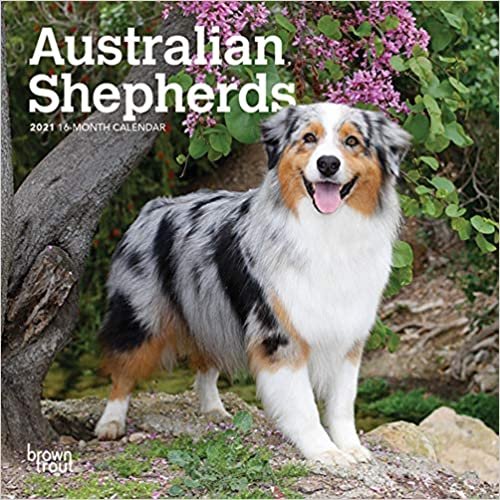 okumak Australian Shepherds 2021 Calendar