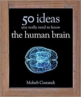 okumak 50 Human Brain Ideas You Really Need to Know