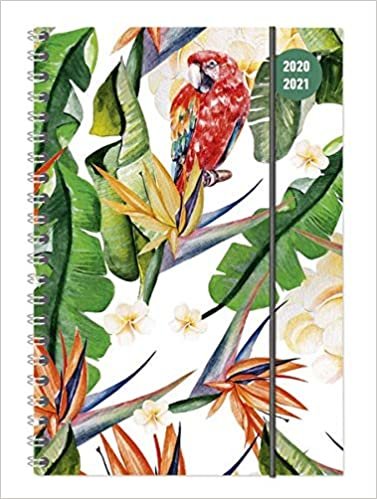 okumak Collegetimer Tropical Dream 2020/2021 - Schüler-Kalender A5 (15x21 cm) - Ringbindung - Weekly - 224 Seiten - Terminplaner - Alpha Edition (Collegetimer A5 Ringbuch)