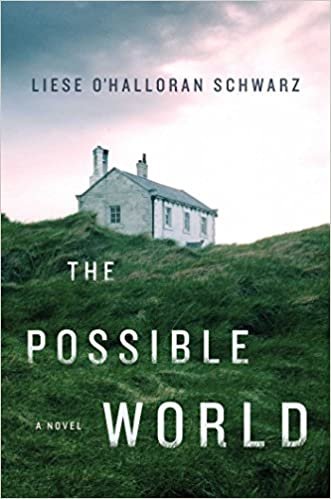 okumak The Possible World: A Novel [Hardcover] Schwarz, Liese O&#39;Halloran