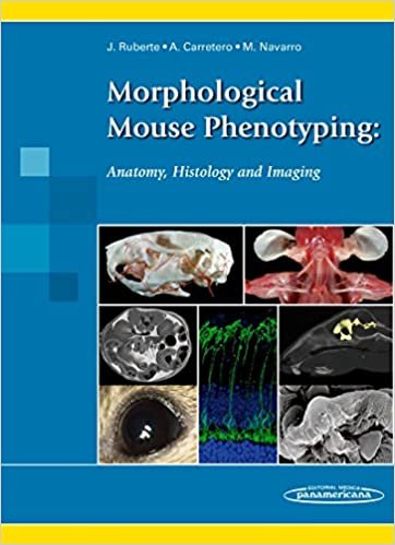 okumak Morphological mouse phenotyping : anatomy, histology and imaging