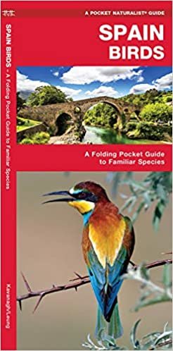 okumak Kavanagh, J: Spain Birds (A Pocket Naturalist Guide)