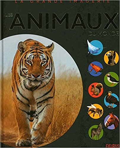 okumak Les animaux (COMPILATION GRANDE IMAGERIE)