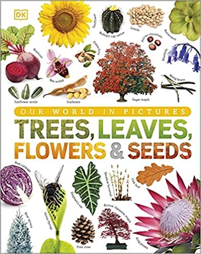 okumak Trees, Leaves, Flowers &amp; Seeds: A visual encyclopedia of the plant kingdom