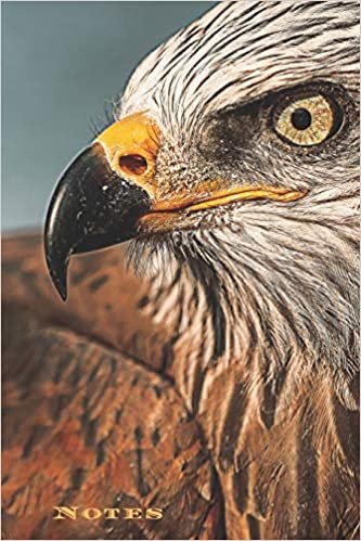 okumak Lone Eagle Photography: 6&quot;x9&quot; Blank Lined Journal, 120 Pages for Notes To Write In (Wildlife Photography Journals)