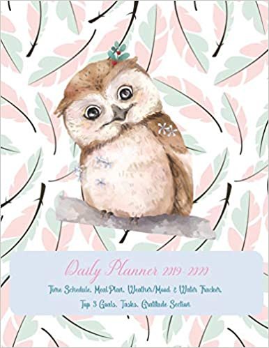 okumak Daily Planner 2019 - 2020 Time Schedule, Meal Plan, Weather / Mood &amp; Water Tracker, Top 3 Goals, Tasks, Gratitude Section: ONE PAGE PER DAY Academic ... Calendars / Cover with a Cute Watercolor Owl