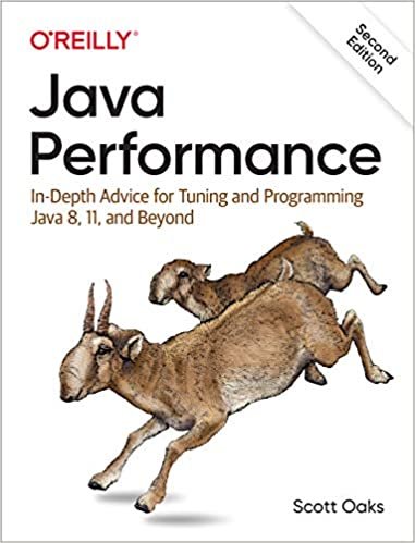 okumak Java Performance: In-depth Advice for Tuning and Programming Java 8, 11, and Beyond