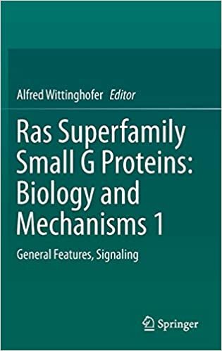 okumak Ras Superfamily Small G Proteins: Biology and Mechanisms 1: General Features, Signaling