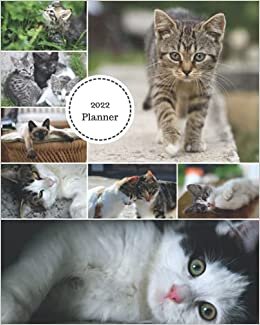 okumak 2022 Planner: Collage of Kittens - 12 Month Weekly and Monthly Planner January 2022 to December 2022 -Monthly Calendar with U.S./UK/ ... 8 x 10 in.- Cats Breed Pets Kittens