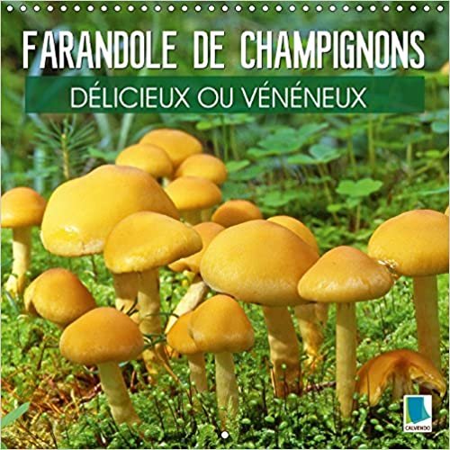 okumak Farandole De Champignons - Delicieux Ou Veneneux 2018: Champignons Aux Couleurs Et Aux Formes Etranges, Comme Sorties D&#39;un Film De Science-Fiction (Calvendo Nature)