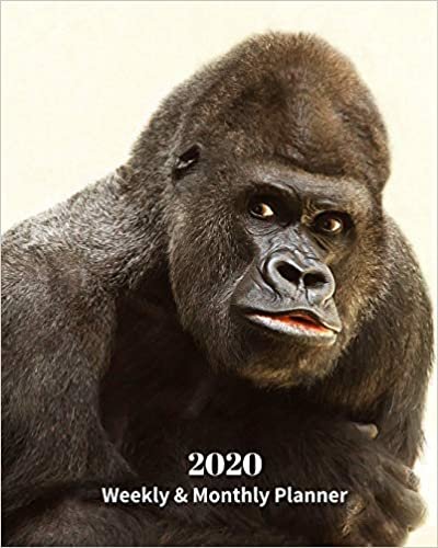 okumak 2020 Weekly and Monthly Planner: Gorilla Ape - Monthly Calendar with U.S./UK/ Canadian/Christian/Jewish/Muslim Holidays– Calendar in Review/Notes 8 x 10 in.-Primates Animals